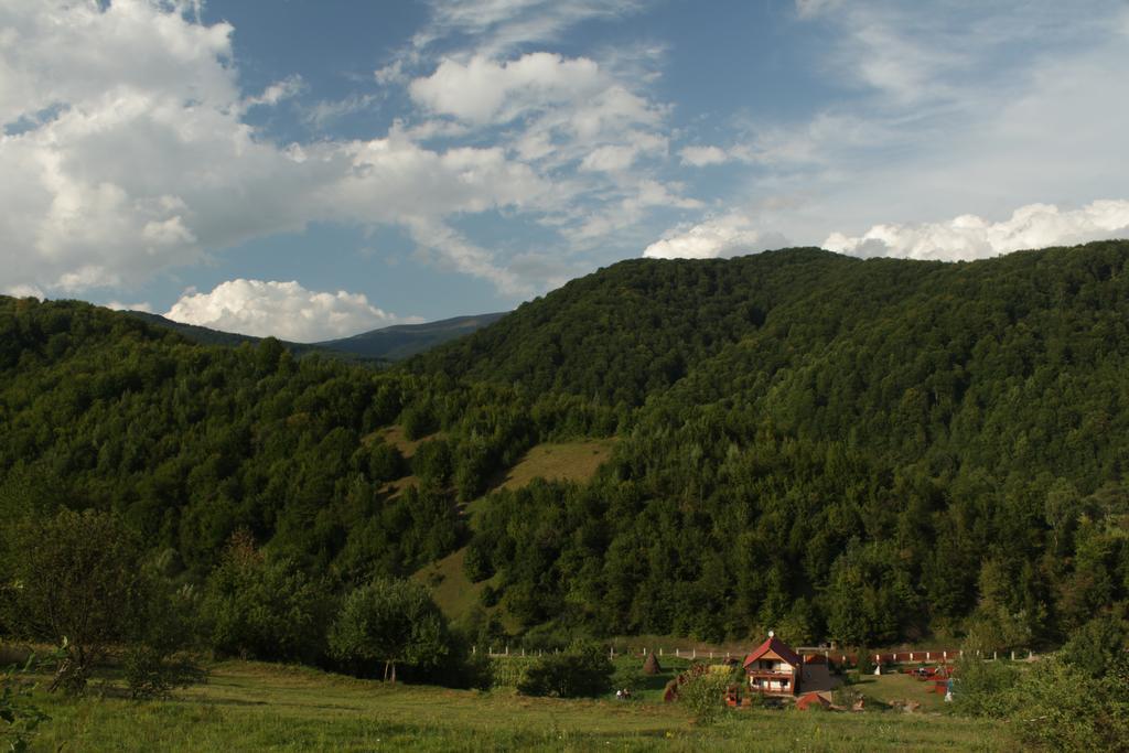 Svit Sontsya Tur'ya Polyana Luaran gambar